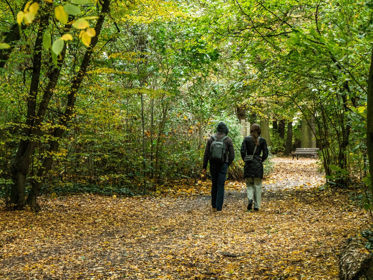 Side-by-side conversation on a nature trail during therapy